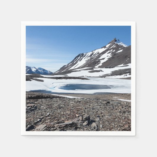 South Georgia Landscape Serviette (Vorderseite)