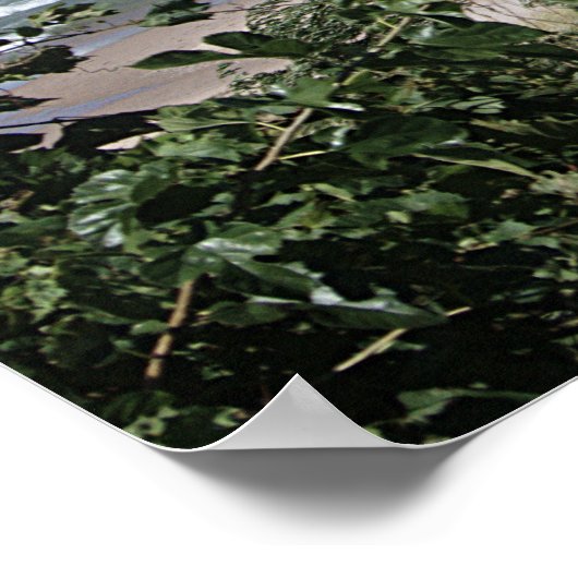 South Haven, Michigan Poster (Ecke)