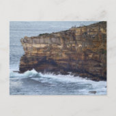 South Head Cliffs Postkarte (Vorderseite)
