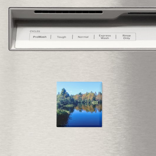 South Lake Howard Magnet (In Situ (Geschirrspüler))