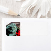 South Lion am Art Institute of Chicago (Insitu)