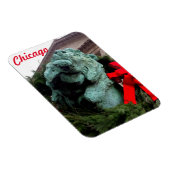 South Lion am Art Institute of Chicago Magnet (Rechte Seite)