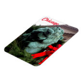 South Lion am Art Institute of Chicago Magnet (Linke Seite)