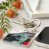 South Lion am Art Institute of Chicago Schlüsselanhänger (Vorderseite rechts)