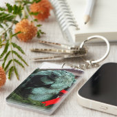 South Lion am Art Institute of Chicago Schlüsselanhänger (Vorderseite rechts)