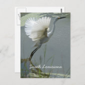 South Louisiana Postkarte (Vorne/Hinten)