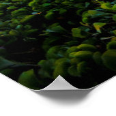 South Maui Beach bei Sunset | Maui, Hawaii Poster (Ecke)