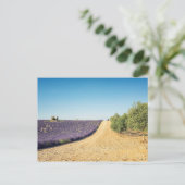 South of France Postkarte (Stehend Vorderseite)