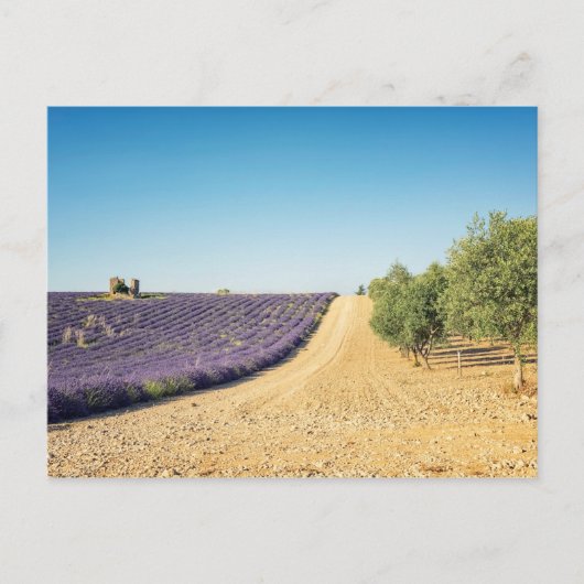 South of France Postkarte (Vorderseite)