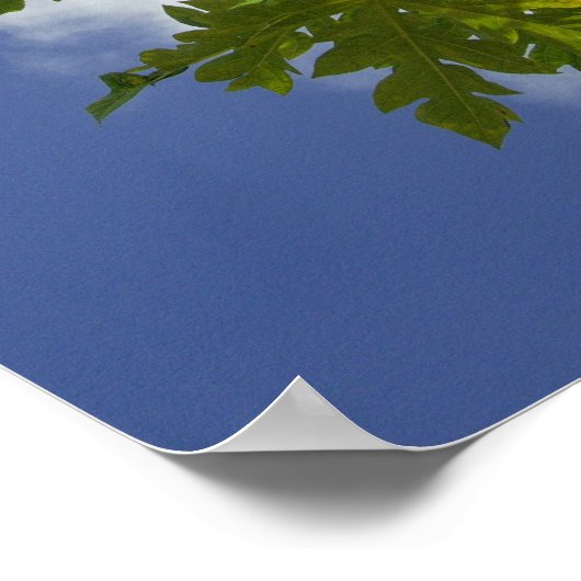 South Pacific, French Polynesia, Moorea. 2 Poster (Ecke)