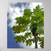 South Pacific, French Polynesia, Moorea. 2 Poster (Vorne)