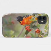 South Padre Island, Texas, USA, Baltimore Oriole Case-Mate iPhone Hülle (Rückseite (Horizontal))