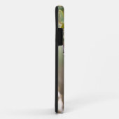 South Padre Island, Texas, USA, Baltimore Oriole Case-Mate iPhone Hülle (Hinten/Rechts)