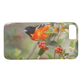 South Padre Island, Texas, USA, Baltimore Oriole Case-Mate iPhone Hülle (Rückseite (Horizontal))