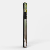 South Padre Island, Texas, USA, Baltimore Oriole Case-Mate iPhone Hülle (Hinten/Rechts)