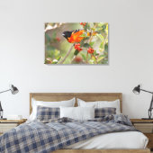 South Padre Island, Texas, USA, Baltimore Oriole Leinwanddruck (Insitu (Schlafzimmer))