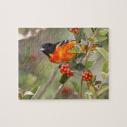 South Padre Island, Texas, USA, Baltimore Oriole Puzzle (Horizontal)