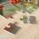 South Padre Island, Texas, USA, Baltimore Oriole Puzzle (Seite)