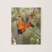 South Padre Island, Texas, USA, Baltimore Oriole Puzzle (Vertikal)