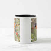 South Padre Island, Texas, USA, Baltimore Oriole Tasse (Zentrum)