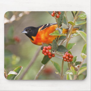 South Padre Island, Texas, USA, Baltimore-Trillvog Mousepad
