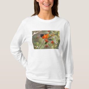 South Padre Island, Texas, USA, Baltimore-Trillvog T-Shirt