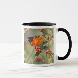 South Padre Island, Texas, USA, Baltimore-Trupial Tasse