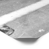 South Philly Boys Club Boxing, 40er Poster (Ecke)