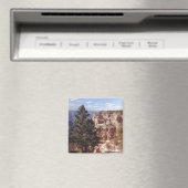 South Rim Grand Canyon Arizona Foto Magnet (In Situ (Geschirrspüler))
