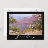South Rim Grand Canyon Postkarte (Vorne/Hinten)