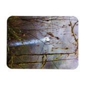 South Silver Falls, OR Magnet (Horizontal)