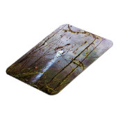 South Silver Falls, OR Magnet (Linke Seite)
