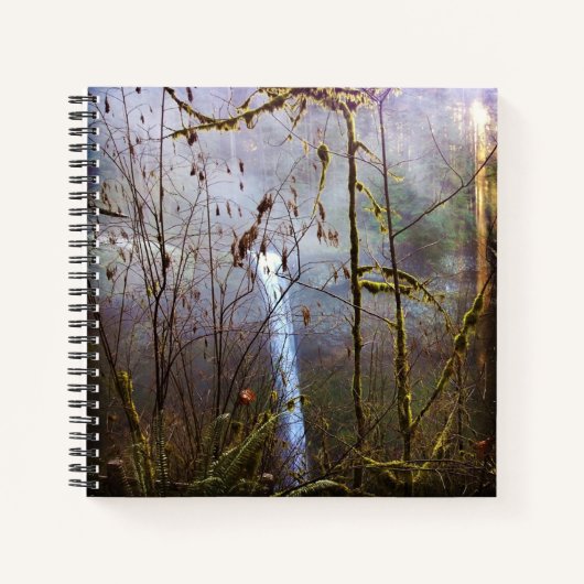 South Silver Falls, OR Notizblock (Vorderseite)