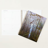 South Silver Falls, OR Planer (Anzeige)
