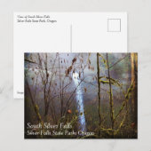 South Silver Falls, Oregon Postkarte (Vorne/Hinten)