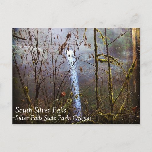 South Silver Falls, Oregon Postkarte (Vorderseite)