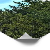 South Sister, Oregon Poster (Ecke)