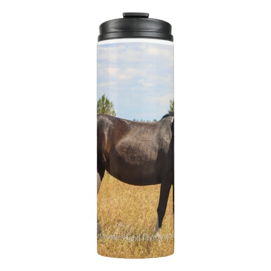 South Steens Mare Thermosbecher (Vorderseite)