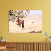 South Steens Wild Horse Leinwanddruck (Insitu (Wohnzimmer))