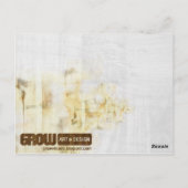 South Street Postkarte (Rückseite)