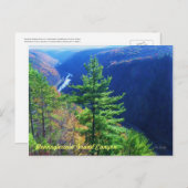 South View, Pennsylvania Grand Canyon Postkarte (Vorne/Hinten)