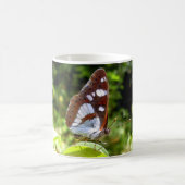 South White Admiral Butterfly Bug Tasse (Mittel)