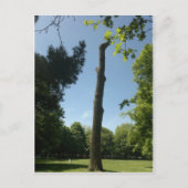 Southampton Postkarte (Vorderseite)