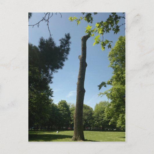 Southampton Postkarte (Vorderseite)