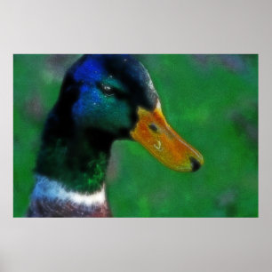 Southbound Mallard Print Poster