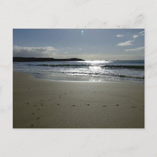 Southend Sparkle Postkarte (Vorderseite)