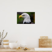 Southern Bald Eagle Print Poster (Küche)