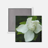 Southern Belle Magnet (Vorderseite/Rückseite)