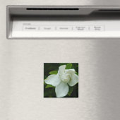 Southern Belle Magnet (In Situ (Geschirrspüler))