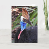 Southern Cassowary Karte (Vorderseite)